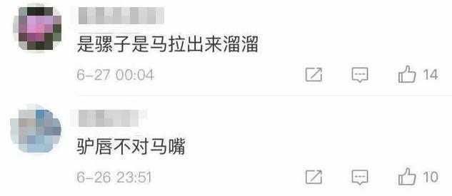 王宝强律师发文疑回应?两张图片再配文呵呵,网友:又有反转了?