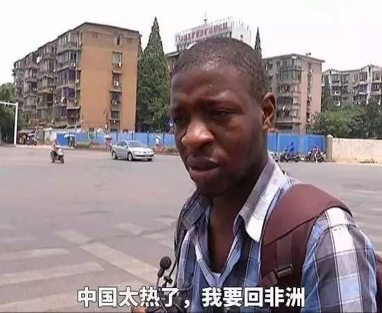 饱含了非洲、印度异域风情格调的音乐元素带你走进野蜂的世界之旅