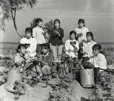一组女知青珍贵老照片：养猪、喂羊、能种田，长相美丽又能干
