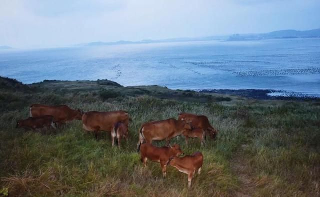 福建这6处景点，个个低调又绝美，趁着人少赶紧走起