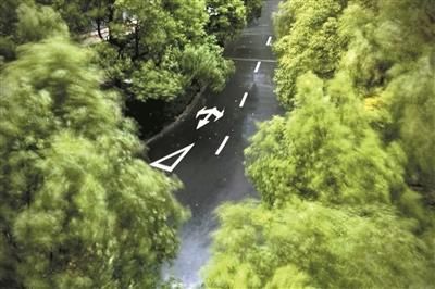  冷空气@冷空气来了 杭州大风继续吹