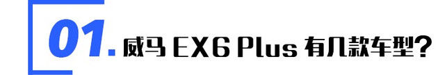  #NEDC续航505km#威马EX6 Plus首发创始人版续航测试 够用！ 实测续航369.5km