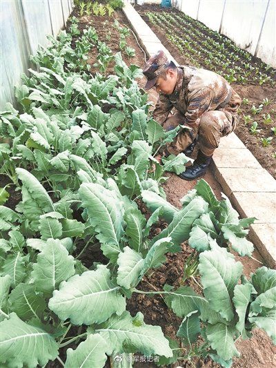  阳光■水冲厕所、阳光温棚……西藏官兵再也不愁这六个难题