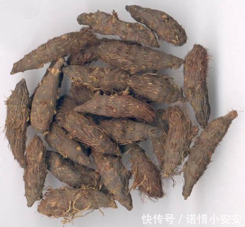 农村地里碰到此草，定要拔回家，根部价值相当珍贵，拔到就是赚到