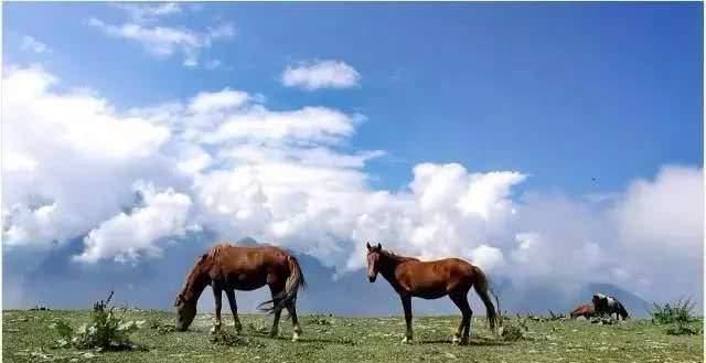  「叫板」四川敢叫板九寨沟和稻城亚丁的小城，美得惊人却很低调
