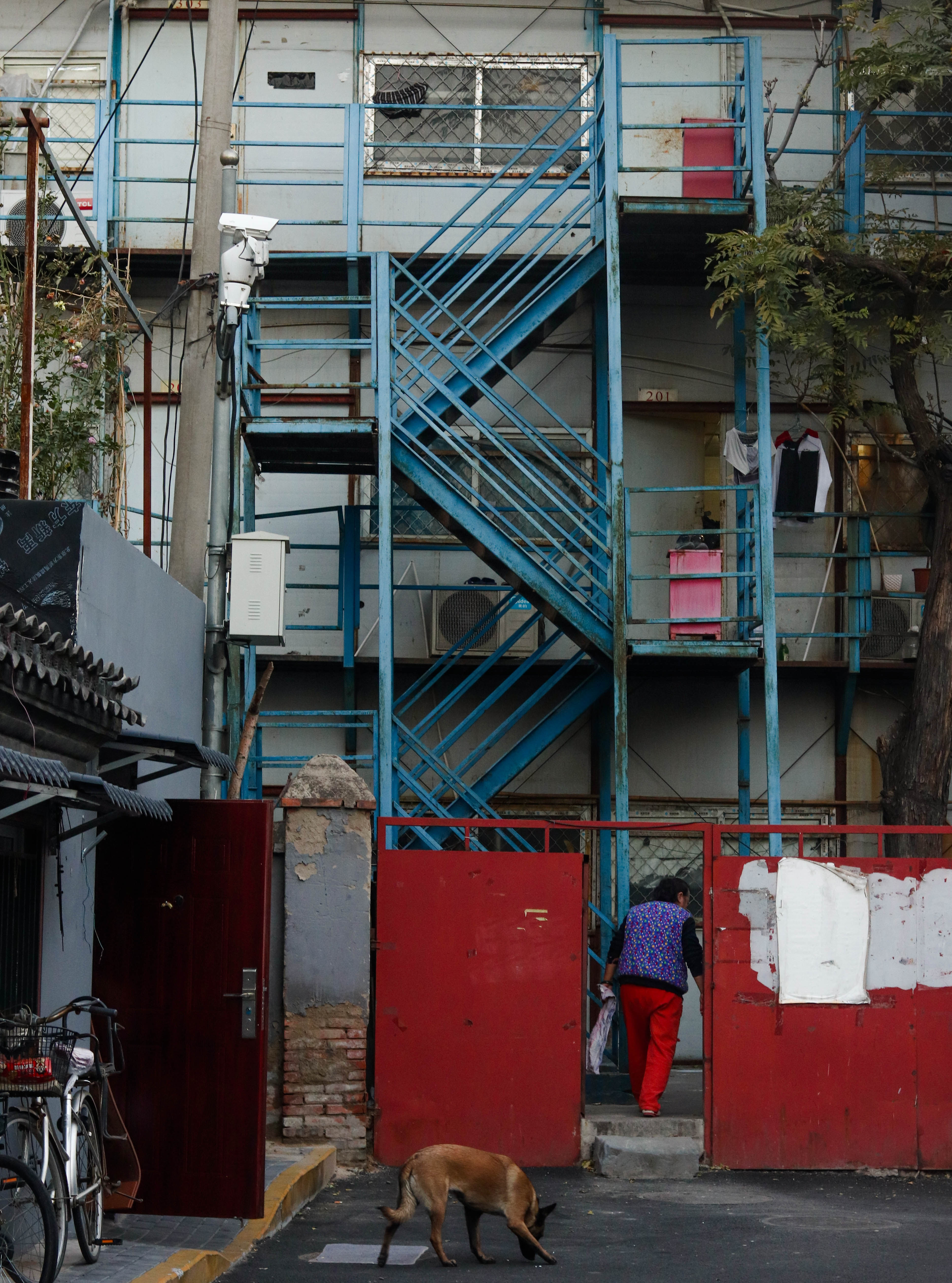 他愿付出生命的三分之二,只为留住北国秋天│北京表情