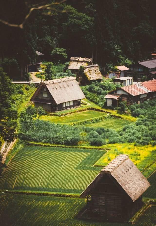 三分文艺,七分清新的国度,走进真实的霓虹国