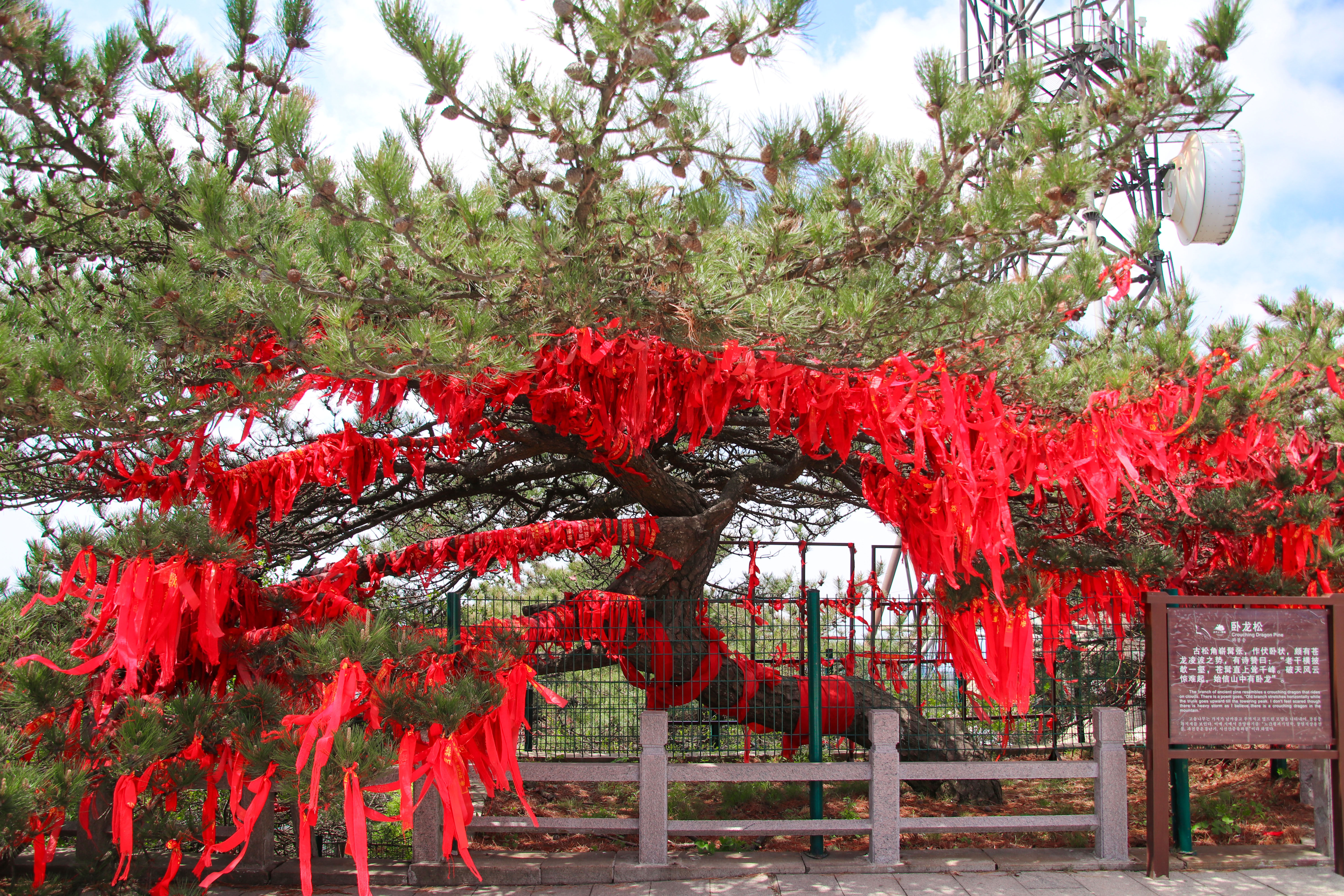 来沂蒙山,我“养”你啊