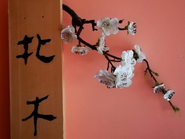 行走川藏线走西藏，看藏区家庭宾馆是啥样，内地人也应学习