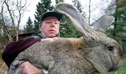 22张神奇的照片，一张都没有PS过，实在开眼了！