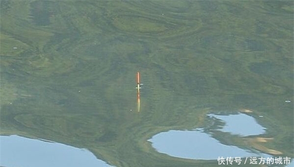 【中鱼率】手竿钓黄尾鲴的钓组搭配和调漂方法,能否连竿上鱼,这两点是关键