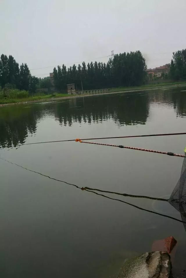 淄川磁村刘瓦水库看钓鱼_【快资讯】