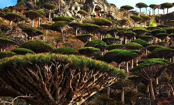 地球上鲜为人知的“外星世界”，远离大陆，独立存在18万个世纪