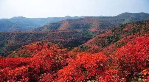 出发 | 金秋十月，这5个地方藏着中国最美的秋色！