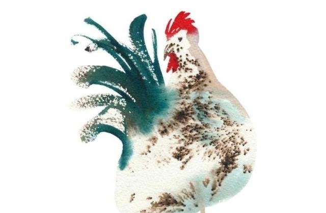 车有车道,马有马路大金鸡要大难临头了过