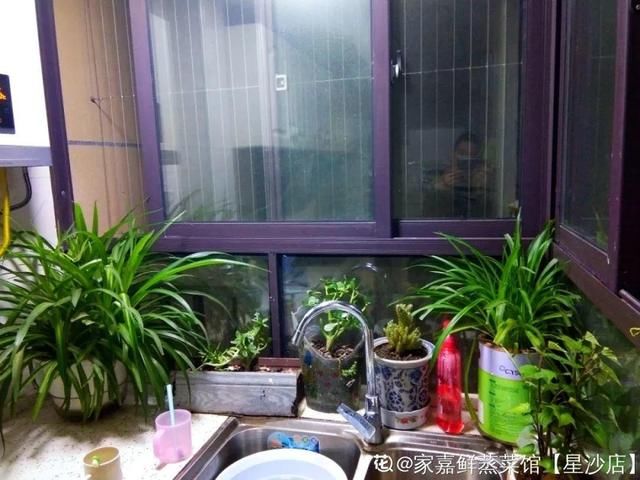  [最合适]1间房1盆花，养最合适的，全家都健康