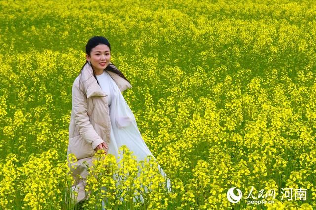  油菜花：河南光山：万亩花海惹人醉