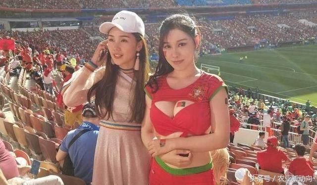 今年世界杯,中国女球迷意外走红 网友:这身材,柳