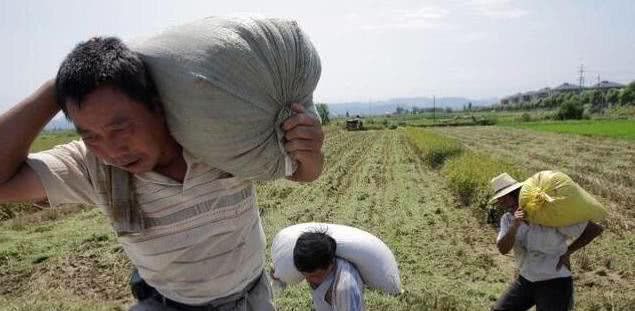 未来5年可能“暴富”的农村职业，抓住机会肯吃苦卖力，就能赚钱