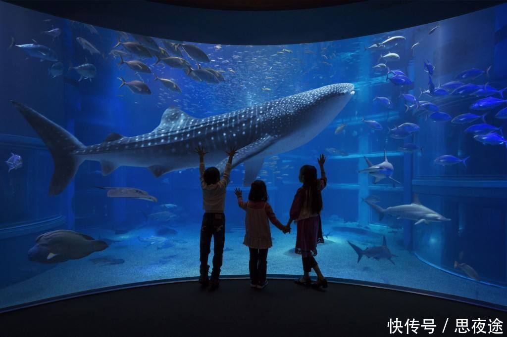 曾经的世界第二强国：GDP曾差点比肩美国，如今却完全被中国超越