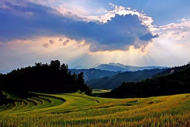 美翻了！广东这些黄金梯田进入最佳观赏期！一年仅一次，快约起