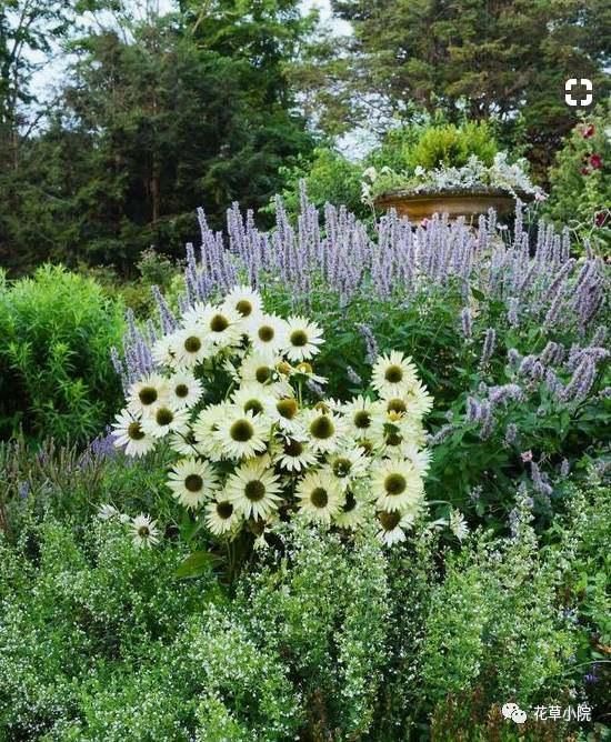 择一处小院，活一世风景！