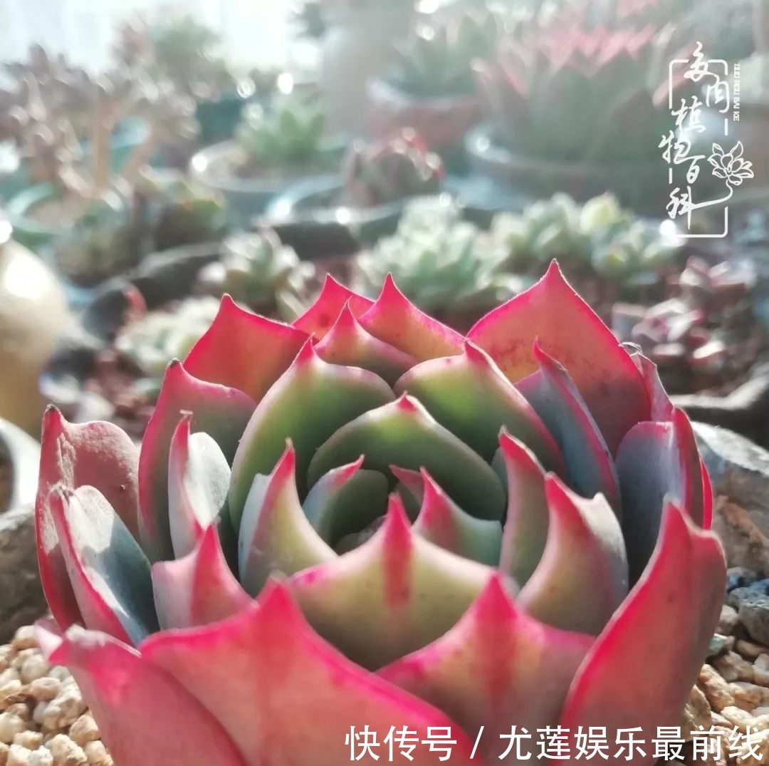  『那种』我爱的，就是你的存在！只要努力该来的都在路上！