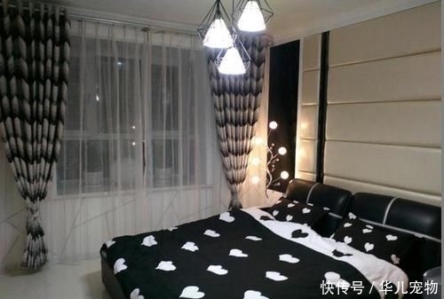  #值钱#院子里，若是见到1种“虎耳草”，要保护它，比岩黄连值钱