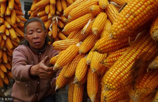 现在农民不好当！那未来的农民会是什么样子的？