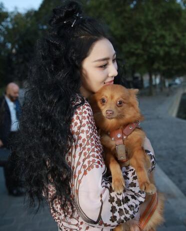 开撕范爷？张馨予怒发微博说没拉着范冰冰炒作，为何被网友群嘲？