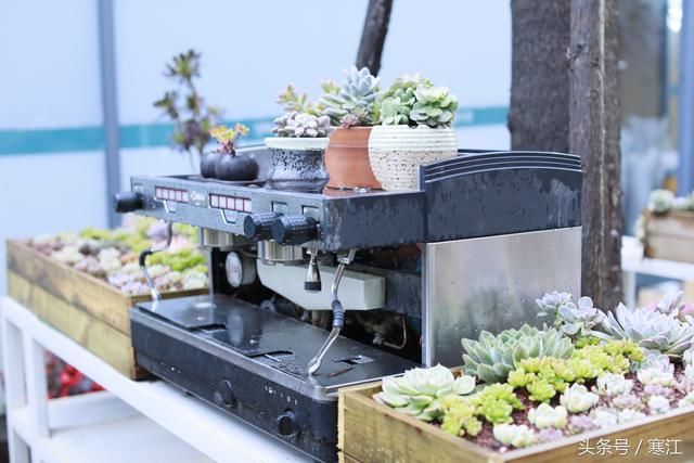 丽江古城80元维护费收了这么多年，但束河旁的梦幻水秀却坚决免费