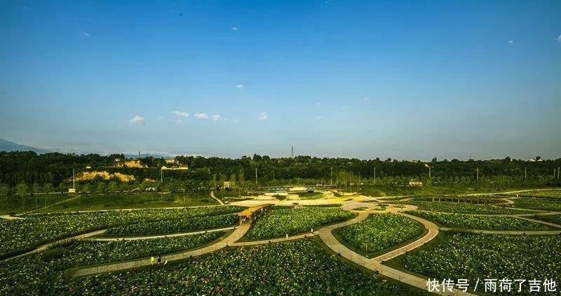 陕西这处千亩荷塘已盛开成海，碧叶连天，人少景美只等你来！