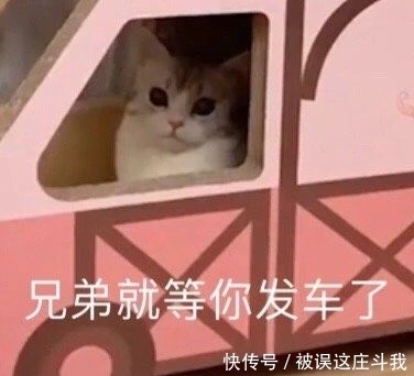  『表情』搞笑沙雕表情包图片：兄弟就等你发车了，我在印了，等等我