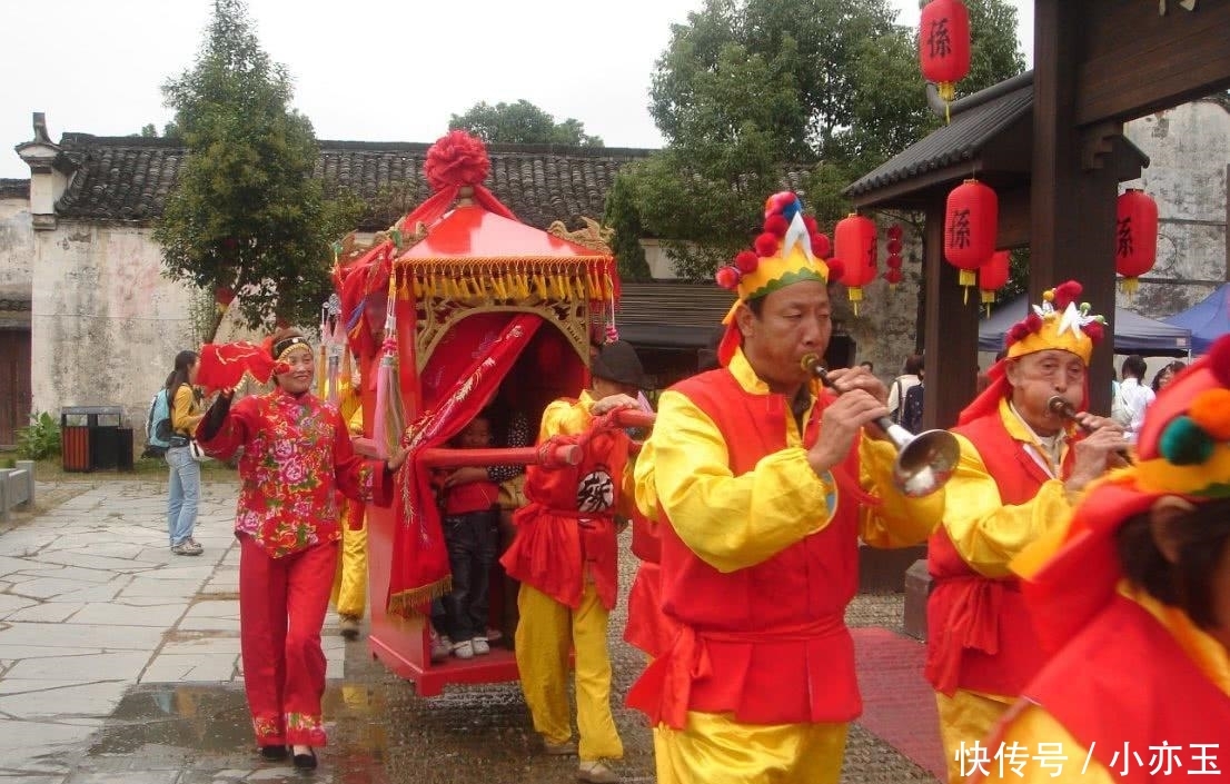  【看守】中国3棵“宝贝”树, 投保上亿还有警卫看守, 有1棵已将