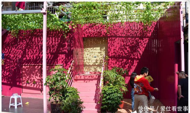 「鸽子」顶澳仔猫街撸猫、白鹭洲喂鸽子,厦门文艺之旅,去过才算没白来!