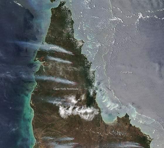 澳洲火灾对悉尼有影响吗