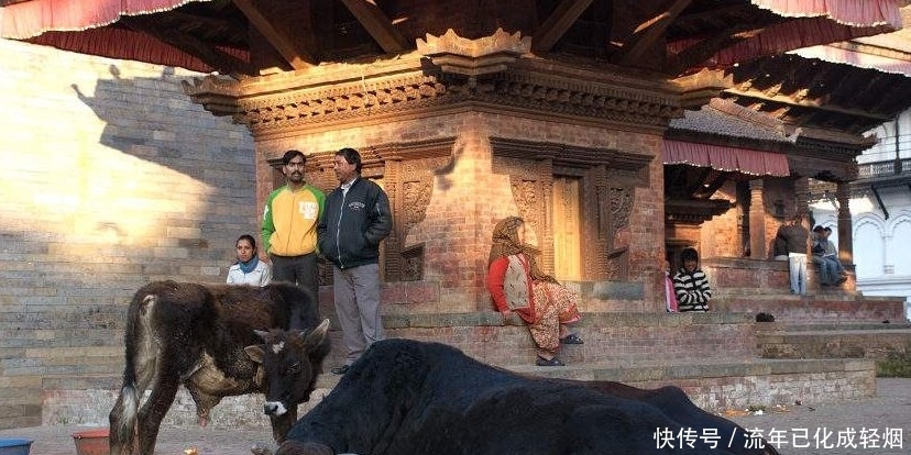 尼泊尔的火葬场，为何小孩都在附近“蹲点”了解原因后令人心酸