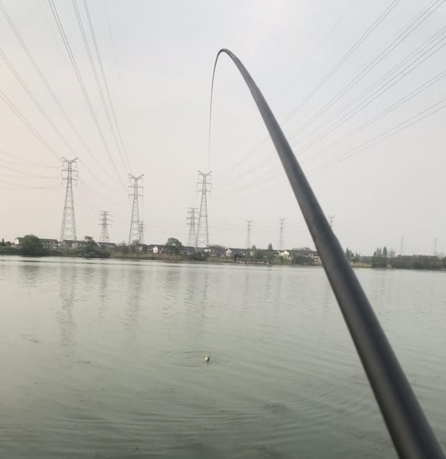  失之交臂■壁虎河之行-与大物失之交臂，还好有小鲤安慰