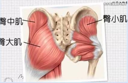 瑜伽让你从短粗腿到大长腿 但你得这么练