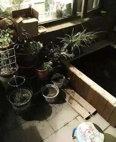 「老爸」从小喜欢养鱼，老爸花170块在阳台做了一个，太有才了！