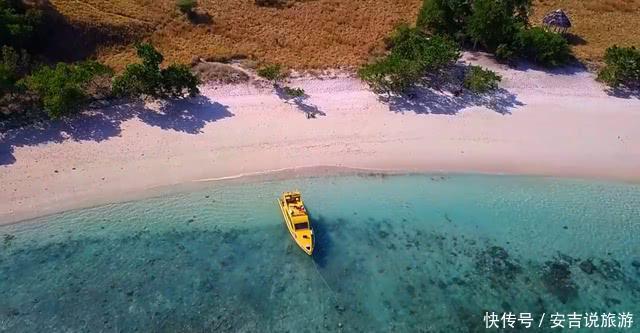亚洲的一座神奇岛屿，生存着1亿年前古生物后代，如今不到100只！