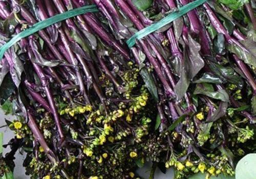  红菜苔：南方的红色蔬菜，曾与武昌鱼齐名，一季可摘8次，北方很