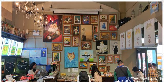 「鸽子」顶澳仔猫街撸猫、白鹭洲喂鸽子,厦门文艺之旅,去过才算没白来!