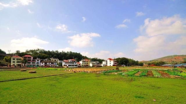 农村严查补贴去向，3类人坐立不安，农民：应该受到严厉处罚