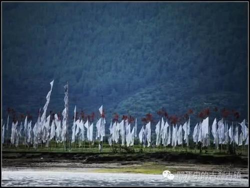 雪域西藏-林芝尼洋河景区