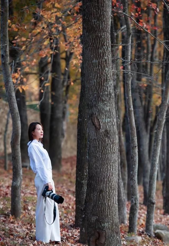 如何摄影如何摄影