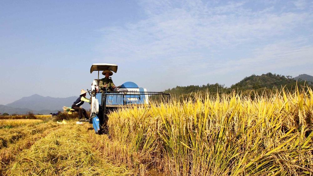  [恶习]农民朋友注意！在外打工，这三类东西不能沾，弄不好“家