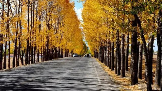 9月开始，这12个地方不可错过!