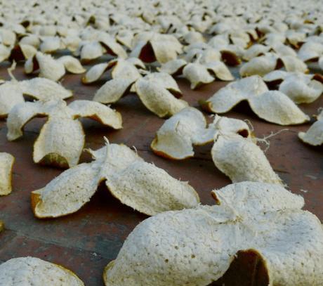 隔年的橘子皮不就是“陈皮”，为啥能卖到5000一斤？专家说出实情