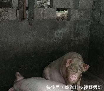 悬崖上的村庄,沉醉其中不知归路